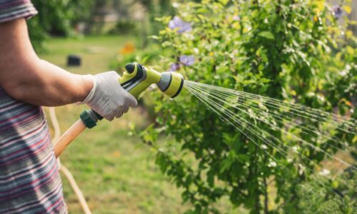 Worauf du bei der Gartenbewässerung achten solltest