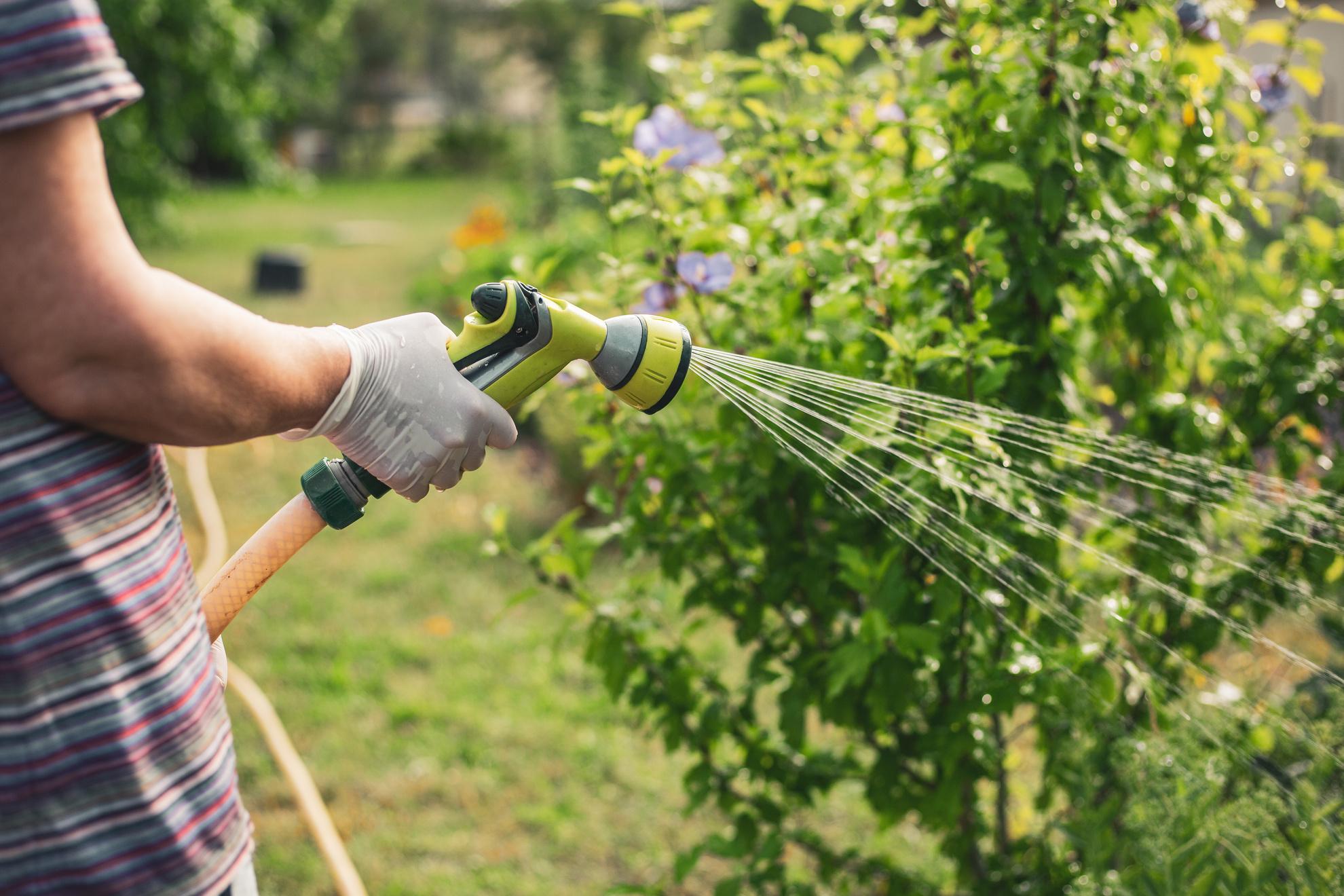 Effiziente Gartenbewässerung mit Zisterne für Regenwasser planen